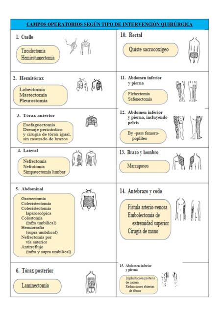 Campos Operatorios Según Tipo de Intervención Quirúrgica 