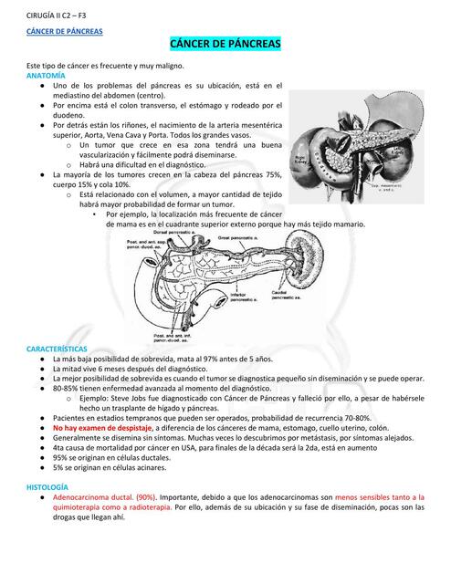 Cáncer de páncreas 