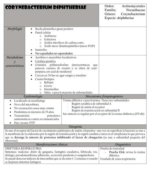 Corynebacterium diphtheriae | Alan Hernández López Vences | uDocz