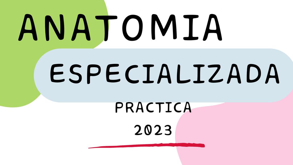 ANATOMÍA PRÁCTICA