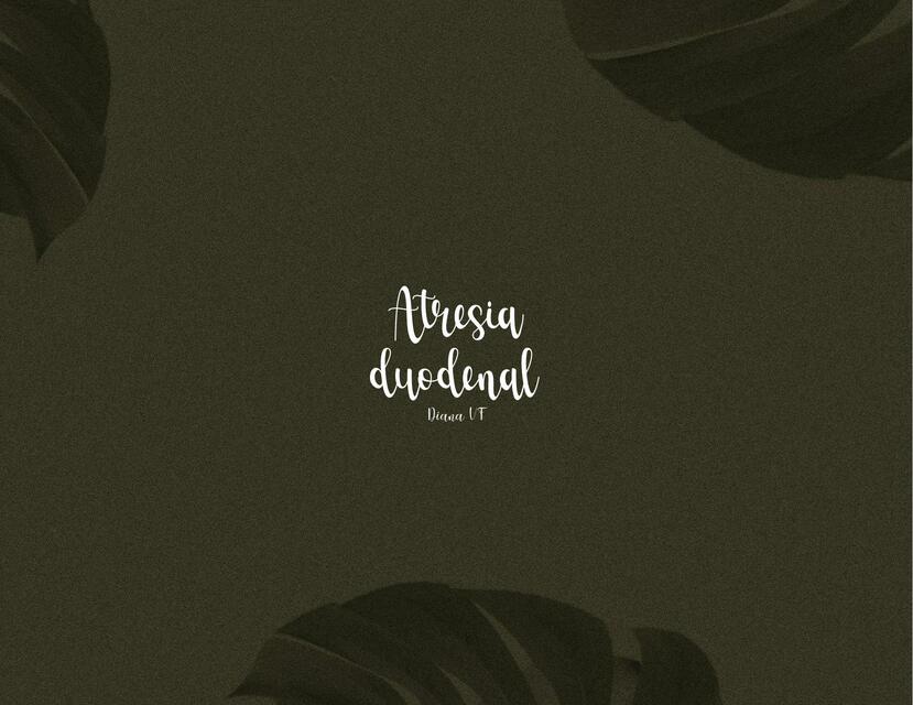 Atresia duodenal Diana Isabel Villatoro Figueroa uDocz