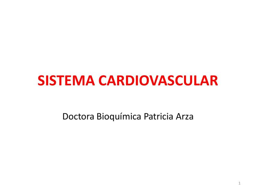 Cardiovascular Fisiología 2