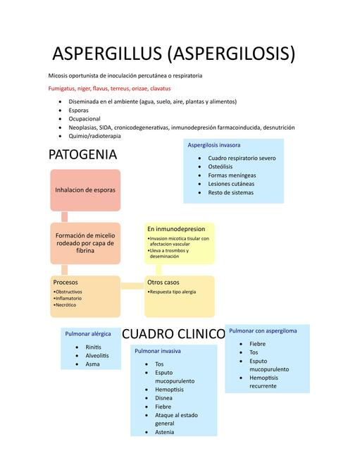 ASPERGILLUS