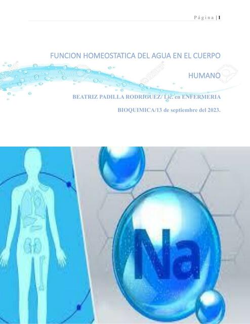 Función homeostática del agua en el cuerpo humano | Beatriz Padilla ...