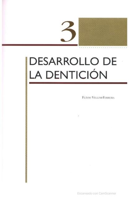 Desarrollo de la dentición 