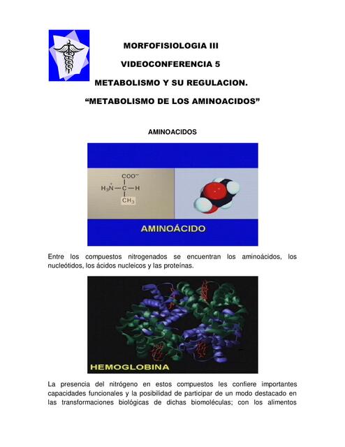 METABOLISMO DE LOS AMINOACIDOS