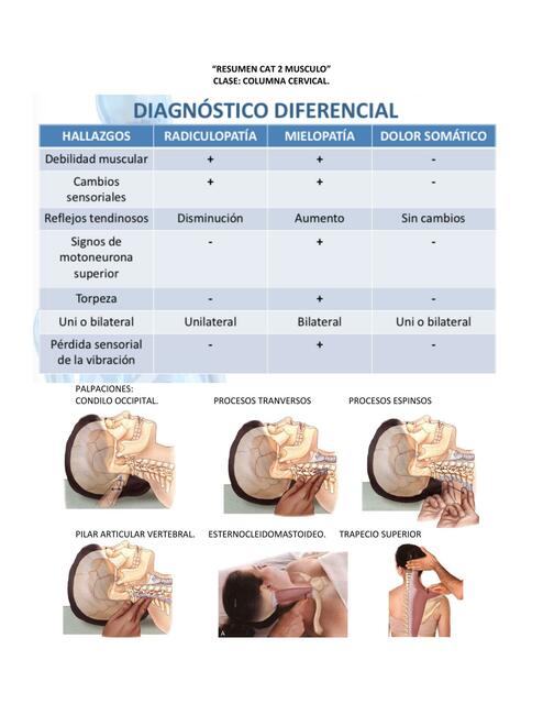 Columna Cervical 