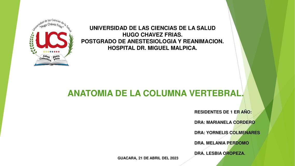 Anatomía de la Columna Vertebral 