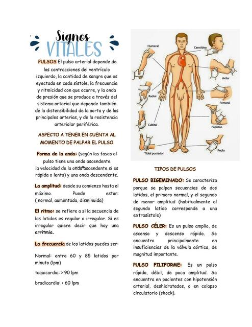 Signos vitales