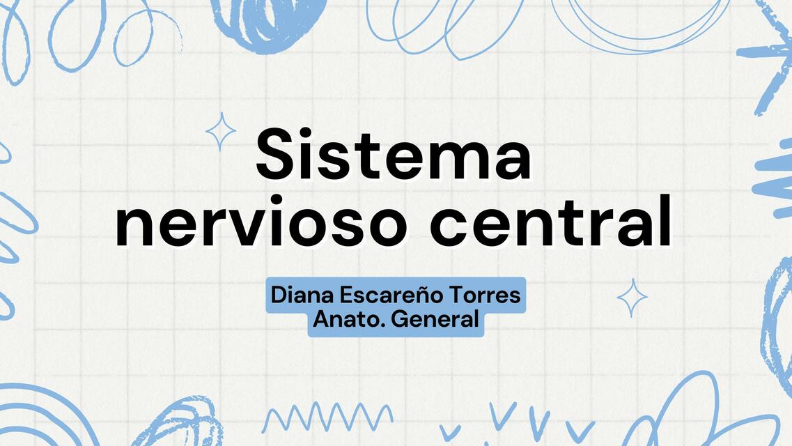 Sistema nervioso central