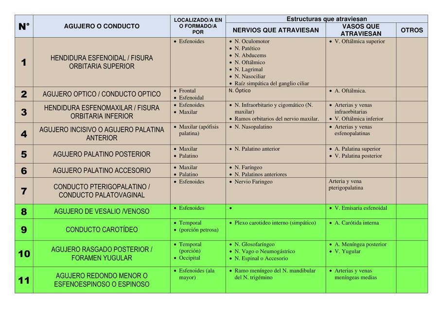 Tabla de Agujero Exocráneo