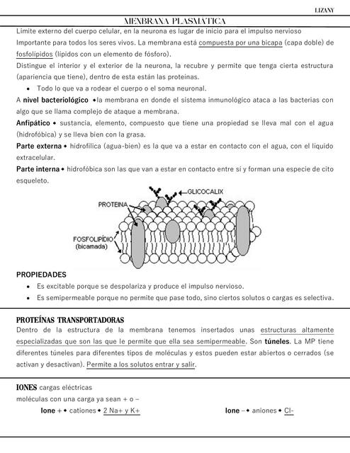 Membrana Plasmática: transportes, bomba S-P, Transmisión del impulso nervioso