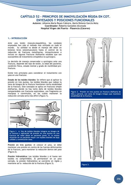 Capítulo 52 - principios de inmovilización rígida en cot.  Enyesados y posiciones funcional