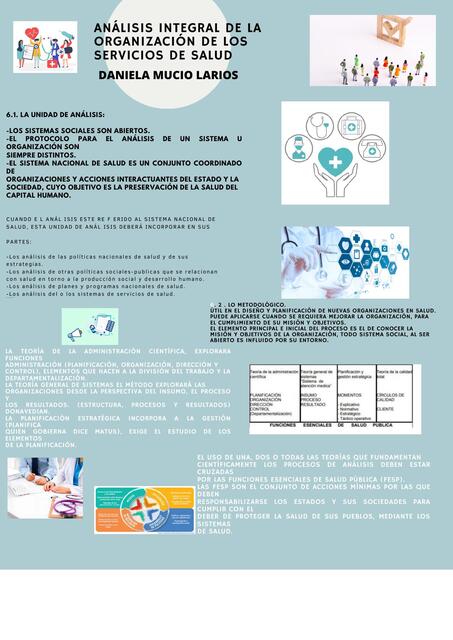 Analisis integral de la organizaion de los servicios de salud 