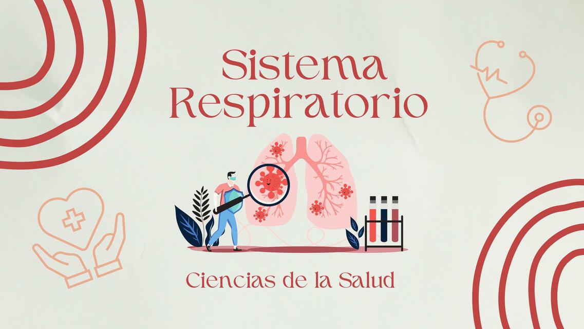 Sistema respiratorio