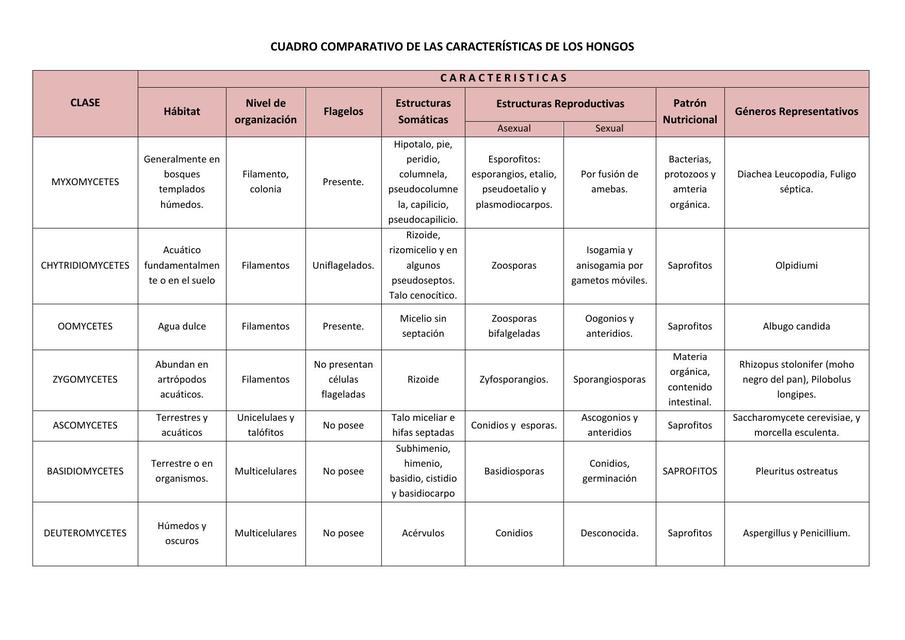 tabla de clasificacion de los hongos del reino
