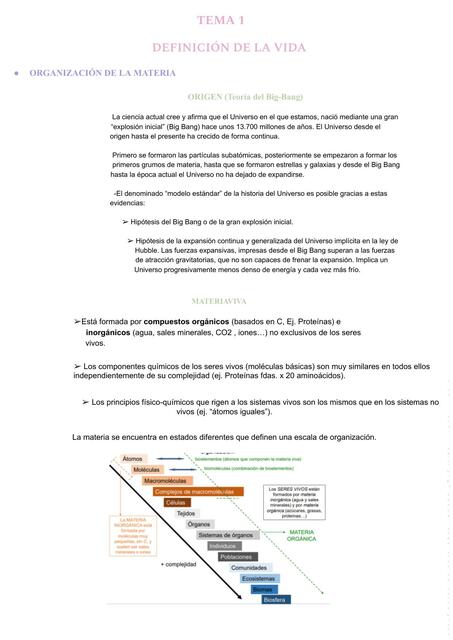 Organización de la Materia 