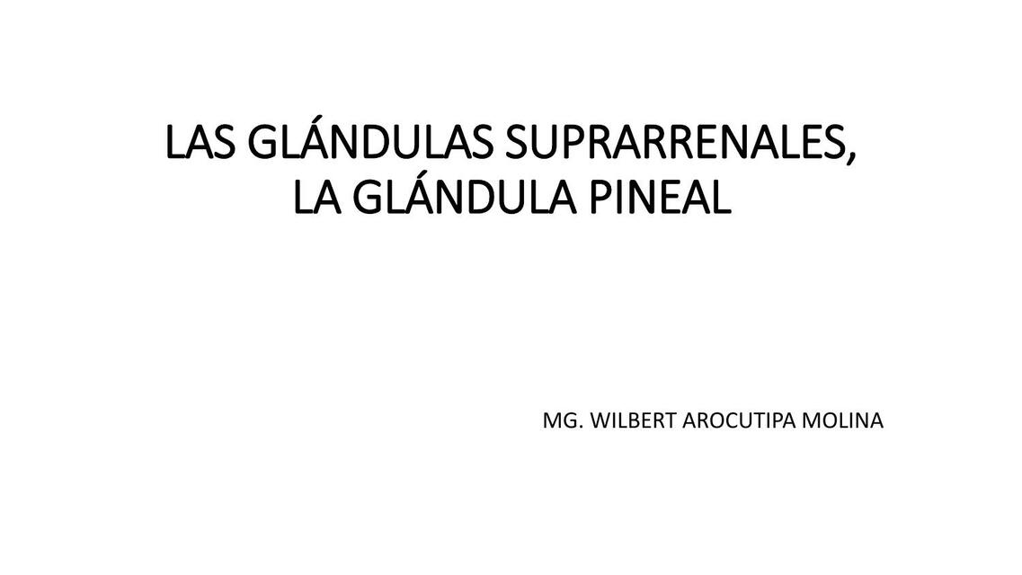 Glándulas suprarrenales 