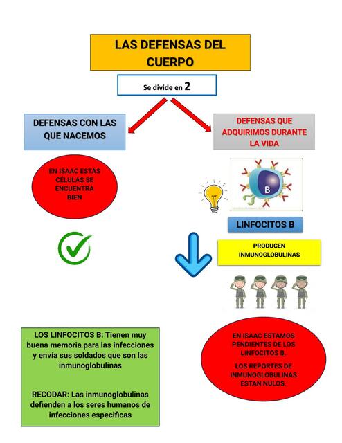 Inmunidad innata y adaptativa para pacientes