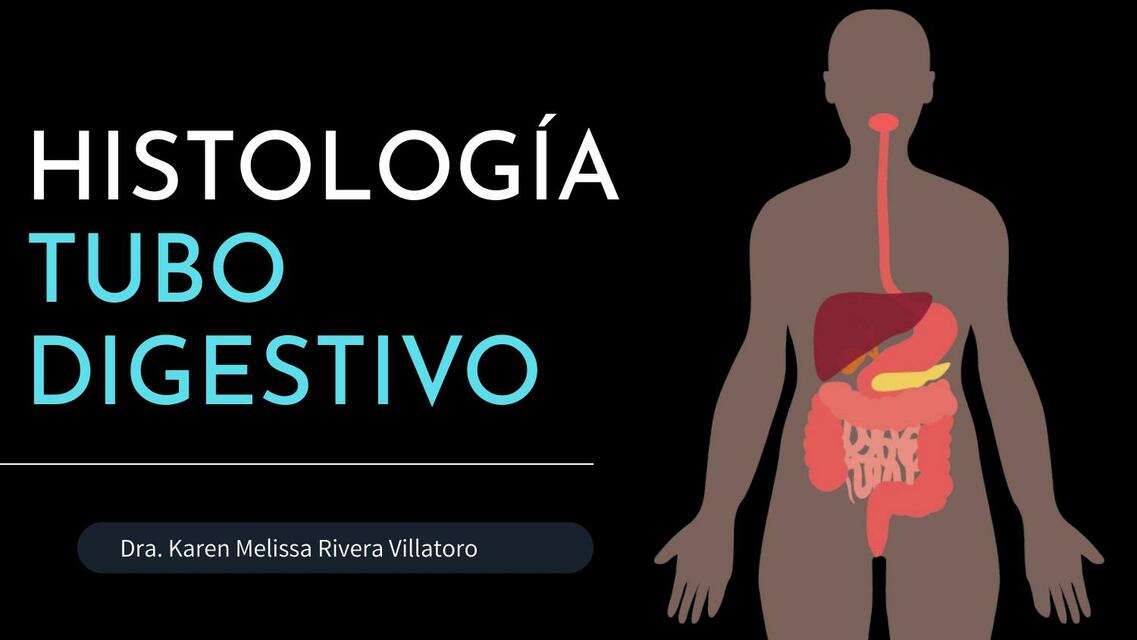 Histología Tubo Digestivo 