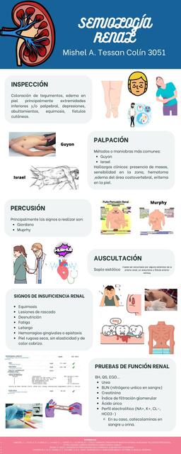 Semiología renal