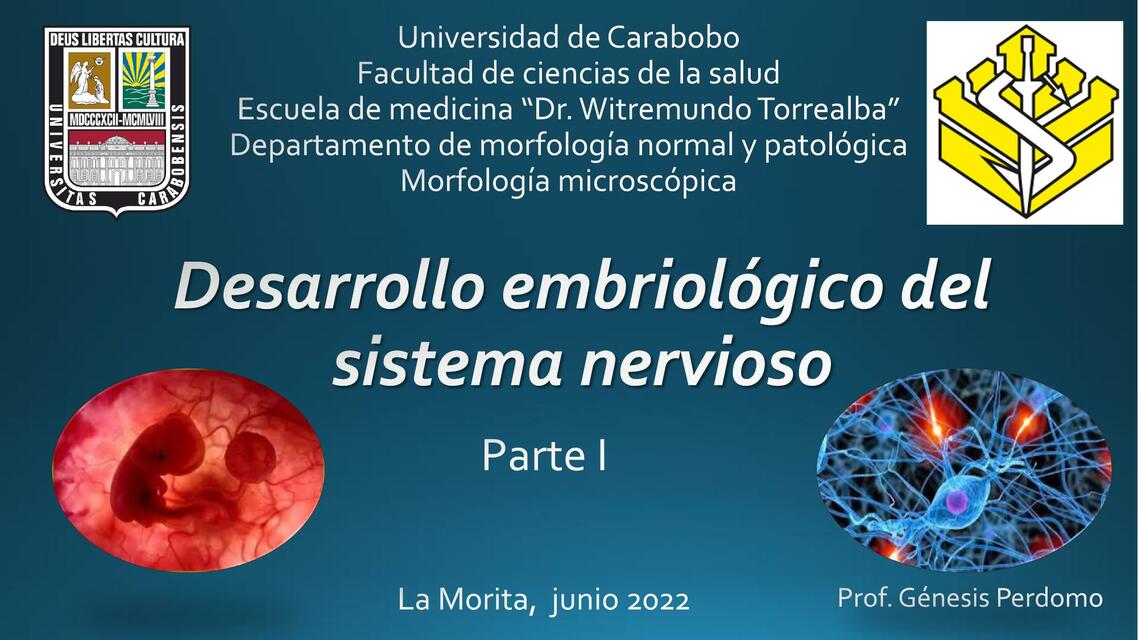 sistema nervioso desarrollo embriologico p1 listo