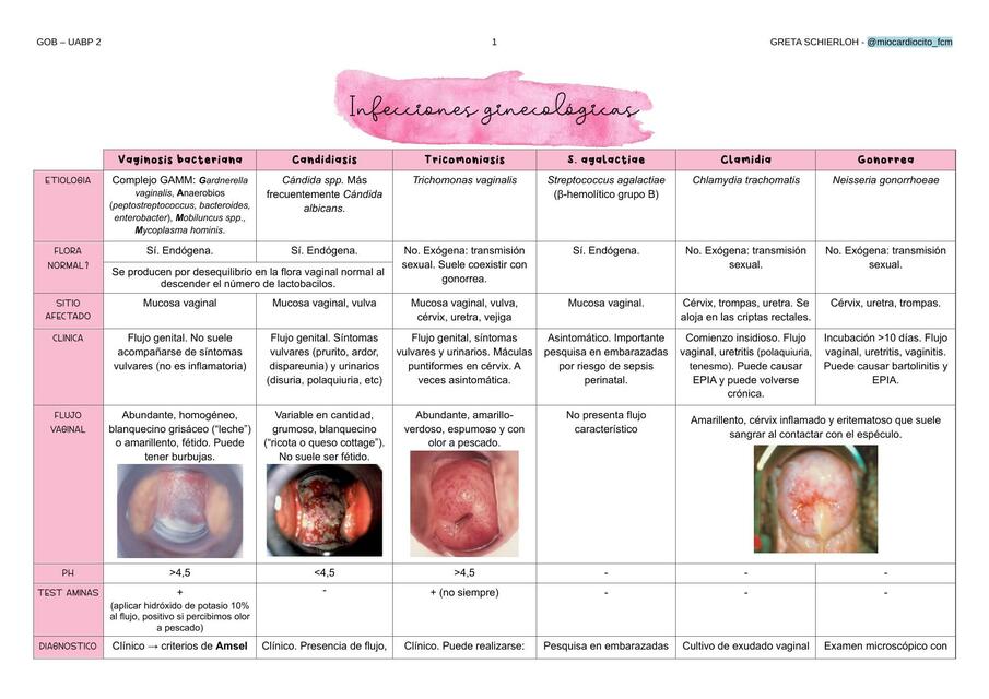 Infecciones ginecológicas e infecciones de transmisión sexual