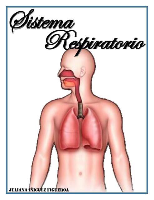 respiratorio primer parcial