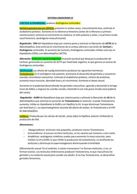 Sistema Endocrino III 