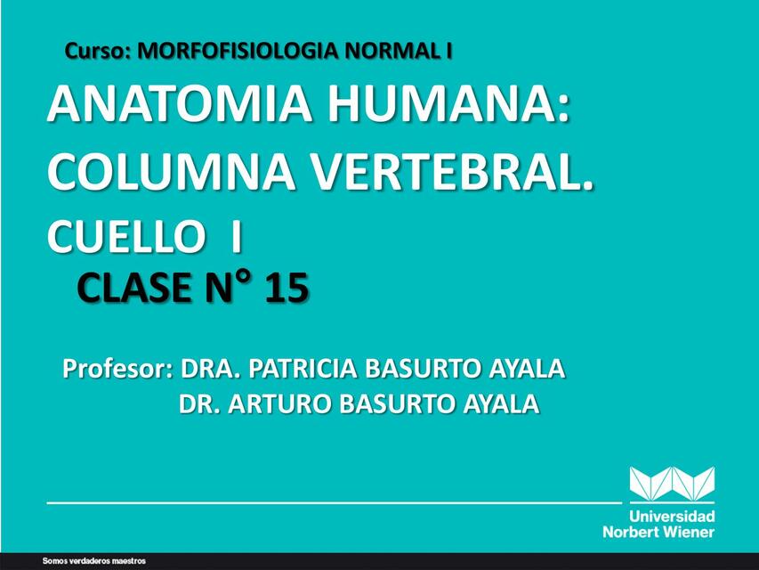 CLASE 15 MORFOFISIOLOGIA