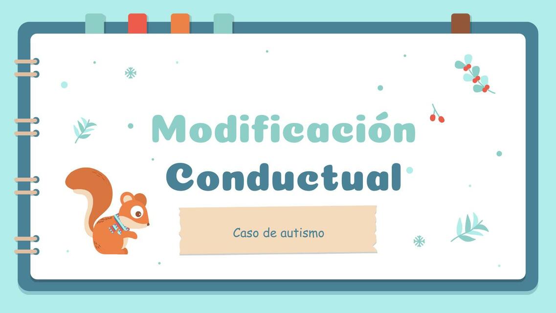 Programa de Modificación de Conducta en un menor con autismo