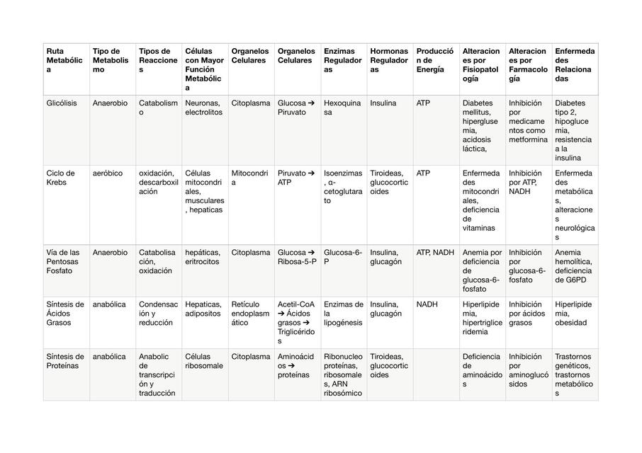 Metabolismo Celular 