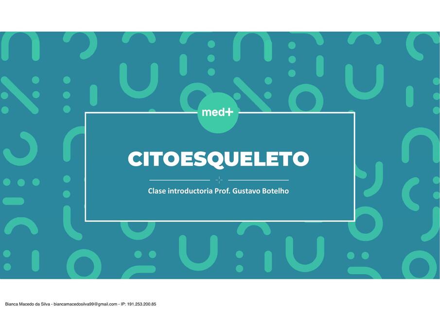 Citoesqueleto 