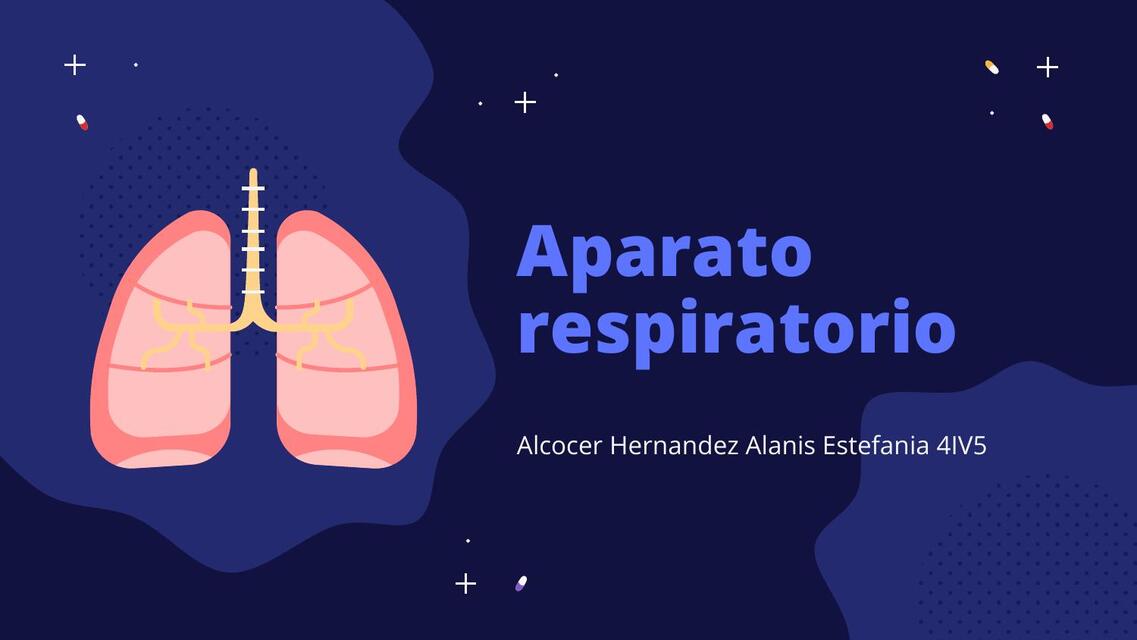 Anatomía Pulmonar 