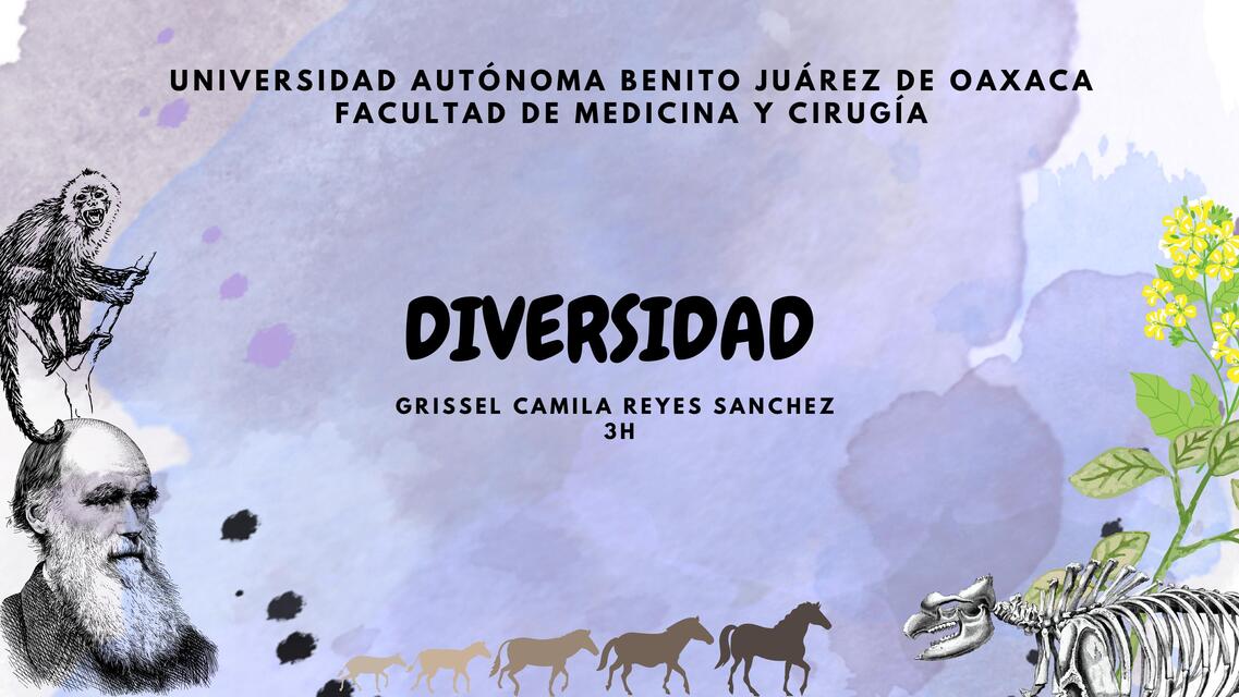 Diversidad 