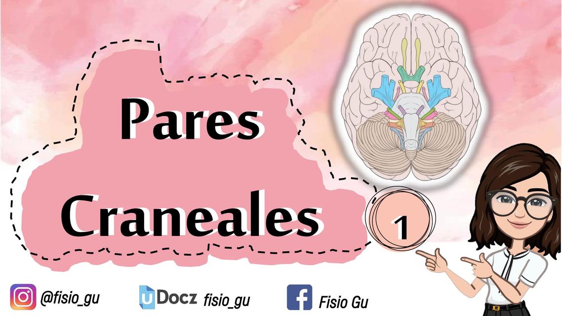 Generalidades de los Pares Craneales