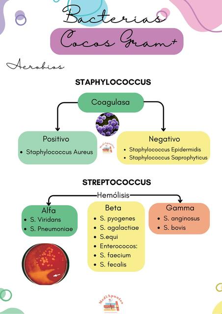 Antibióticos