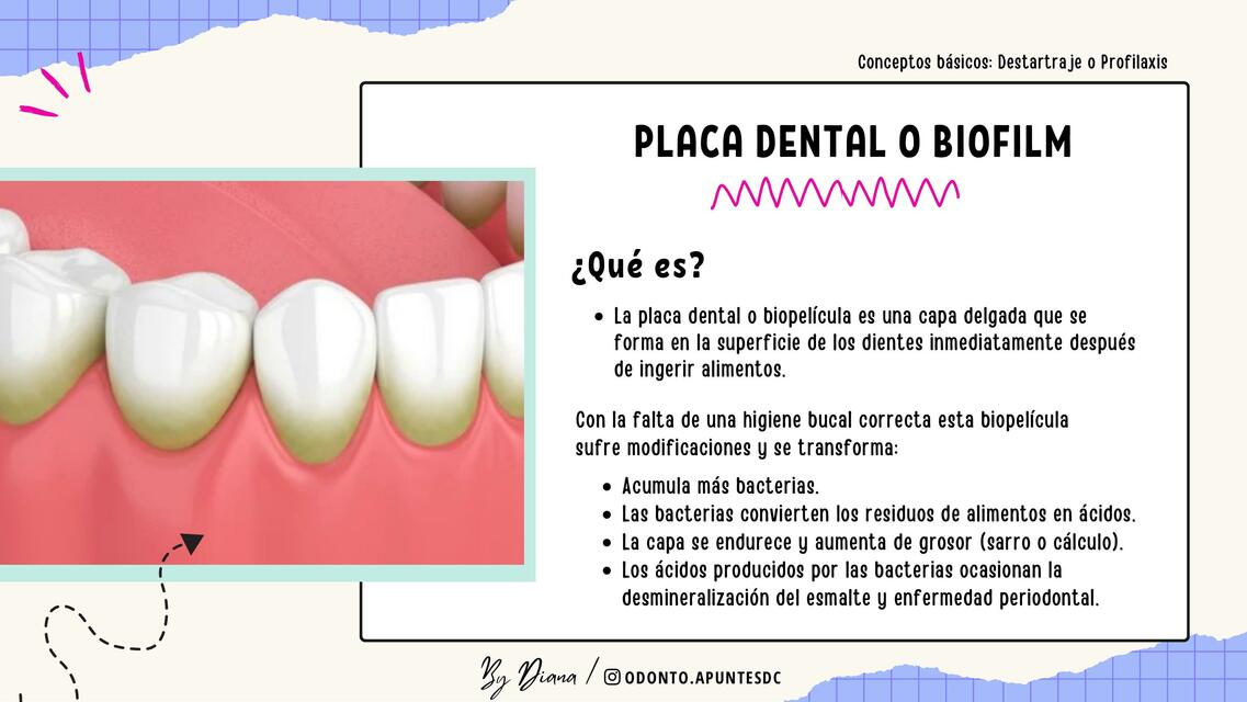 CONCEPTOS BÁSICOS PROFILAXIS DENTAL odontoapuntedc