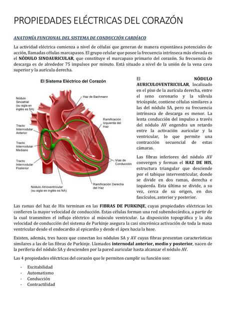 PROP ELÉCTRICAS DEL CORAZÓN Agostina Aballay