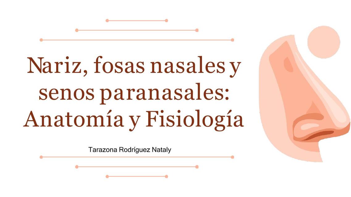 Nariz, fosas nasales y senos paranasales: Anatomía y Fisiología  