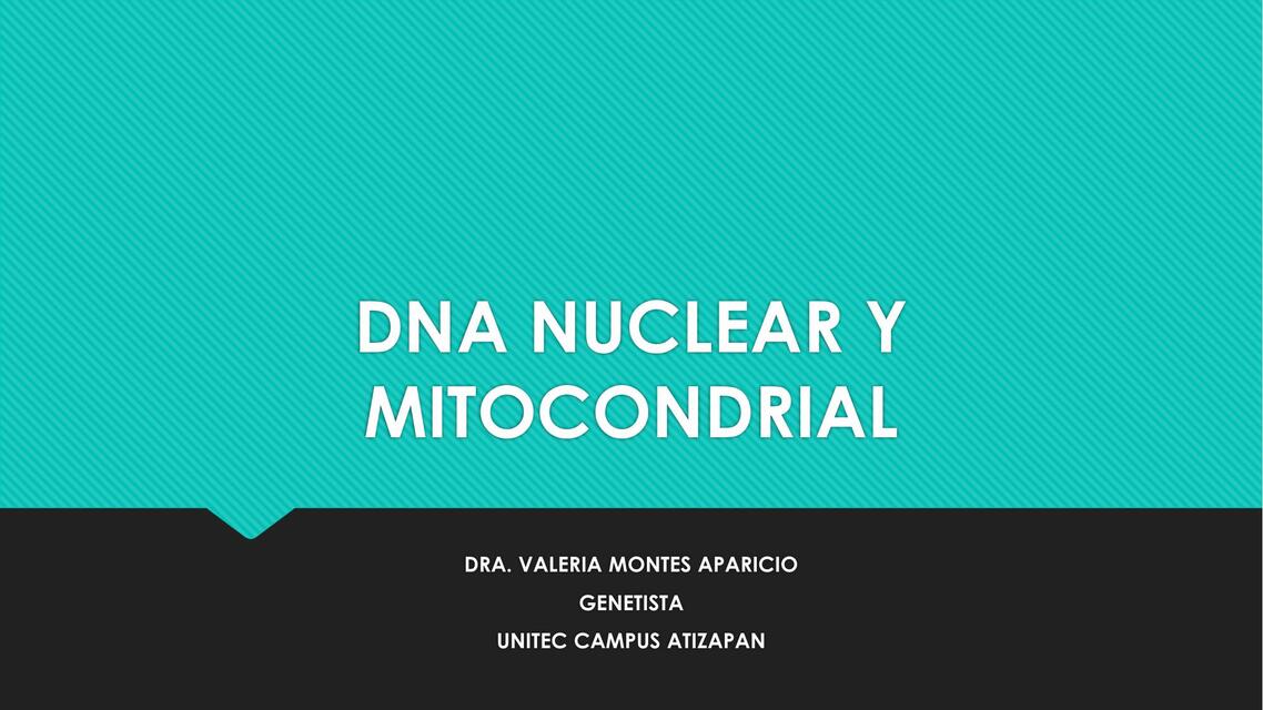 Dna nuclear y mitocondrial 