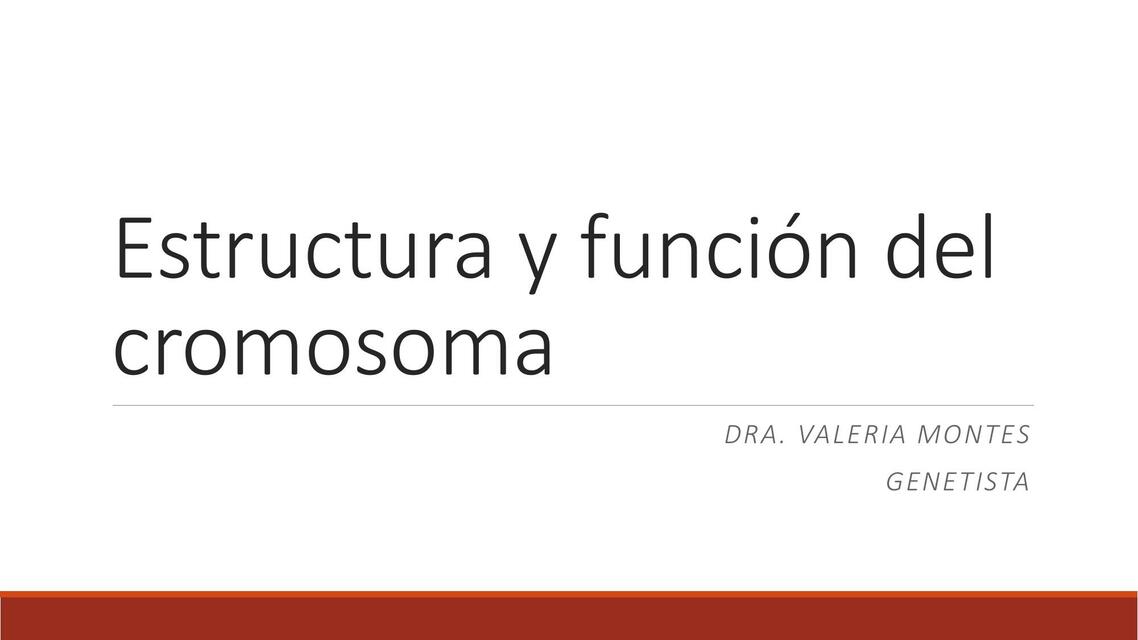 Estructura y función del cromosoma