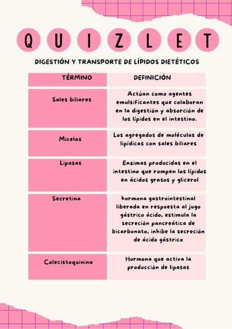 Digestión y transporte de lípidos dietéticos 