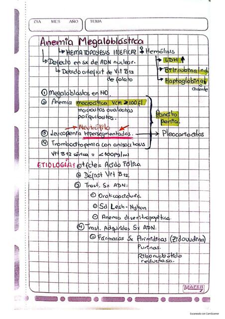 ANEMIA MEGALOBLÁSTICA HEMATOLOGÍA