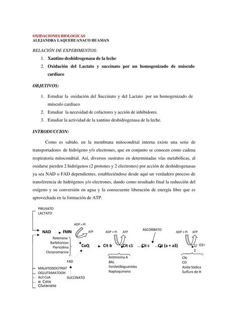 BIOQUIMICA