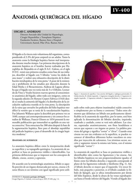 Anatomía Quirúrgica del Hígado