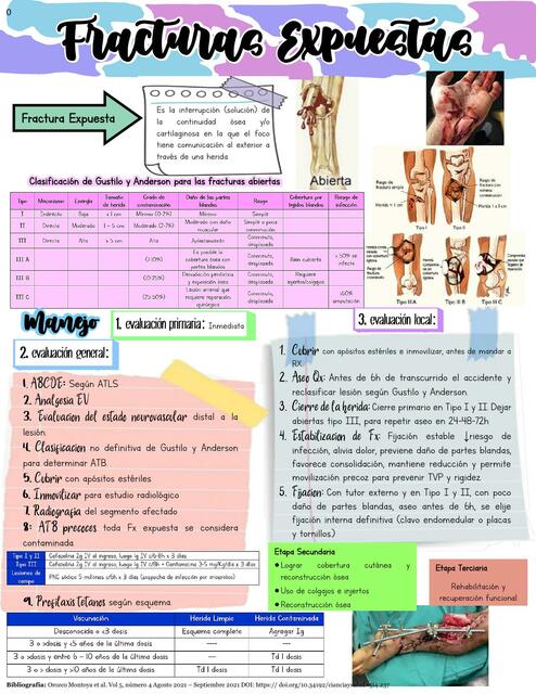 Manejo Fracturas Expuestas
