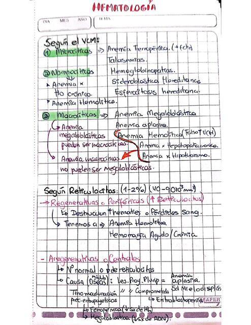 ANEMIA FERROPENICA HEMATOLOGÍA