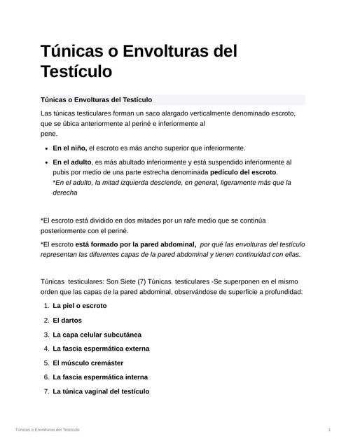 Túnicas o Envolturas del testículo