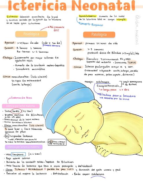 Ictericia Neonatal